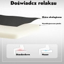 Fotel podnoszony elektryczny wypoczynkowy telewizyjny rozkładany geriatryczny