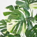Duża Monstera Sztuczna 103cm XL Zielono Kremowa SZTUCZNY KWIATEK ROŚLINA PIĘKNA 24 LIŚCIE