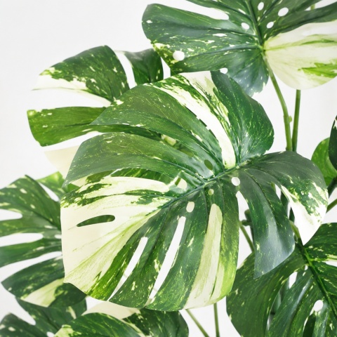 Duża Monstera Sztuczna 103cm XL Zielono Kremowa SZTUCZNY KWIATEK ROŚLINA PIĘKNA 24 LIŚCIE