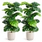 Duża Monstera Sztuczna 2 sztuki Zestaw Kwiatów Sztucznych do domu biura na taras 84cm