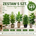 Kwiaty sztuczne Zestaw 5 sztuk Rośliny Tropikalne do domu Ogrodu 65cm Monstera Palma Bananowiec