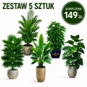 Kwiaty sztuczne Zestaw 5 sztuk Rośliny Tropikalne do domu Ogrodu 65cm Monstera Palma Bananowiec