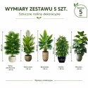 Kwiaty sztuczne Zestaw 5 sztuk Rośliny Tropikalne do domu Ogrodu 65cm Monstera Palma Bananowiec