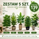 Kwiaty sztuczne Zestaw 5 sztuk Rośliny Tropikalne do domu Ogrodu 65cm Monstera Palma Bananowiec