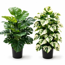 Sztuczne kwiaty Monstera Rośliny 2 sztuki Zestaw 68cm Zielone Kremowe