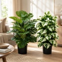 Sztuczne kwiaty Monstera Rośliny 2 sztuki Zestaw 68cm Zielone Kremowe