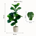 Sztuczne dzewko Figowiec 78cm Kwiatek Doniczkowy
