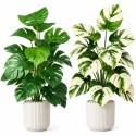 Sztuczne kwiaty Monstera Rośliny 2 sztuki Zestaw 68cm Zielone Kremowe