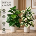 Sztuczne kwiaty Monstera Rośliny 2 sztuki Zestaw 68cm Zielone Kremowe