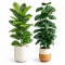 Wysokie Sztuczne rośliny doniczkowe kwiaty 2 sztuki Monstera Palma 110cm Zielone