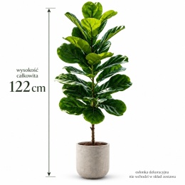 Sztuczne drzewko figowe Figowiec 120cm Wysokie Kwiatek do domu biura