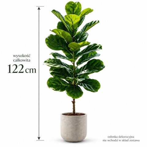 Sztuczne drzewko figowe Figowiec 120cm Wysokie Kwiatek do domu biura