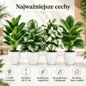 Sztuczne rośliny Kwiaty Doniczkowe 67cm Zestaw 4 sztuk Kwiatki Palma Monstera