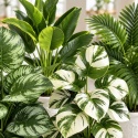 Sztuczne rośliny Kwiaty Doniczkowe 67cm Zestaw 4 sztuk Kwiatki Palma Monstera