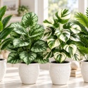 Sztuczne rośliny Kwiaty Doniczkowe 67cm Zestaw 4 sztuk Kwiatki Palma Monstera